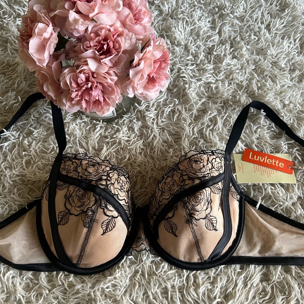 Lightly Lined Balconette Embroidery Lace Bra Lingerie